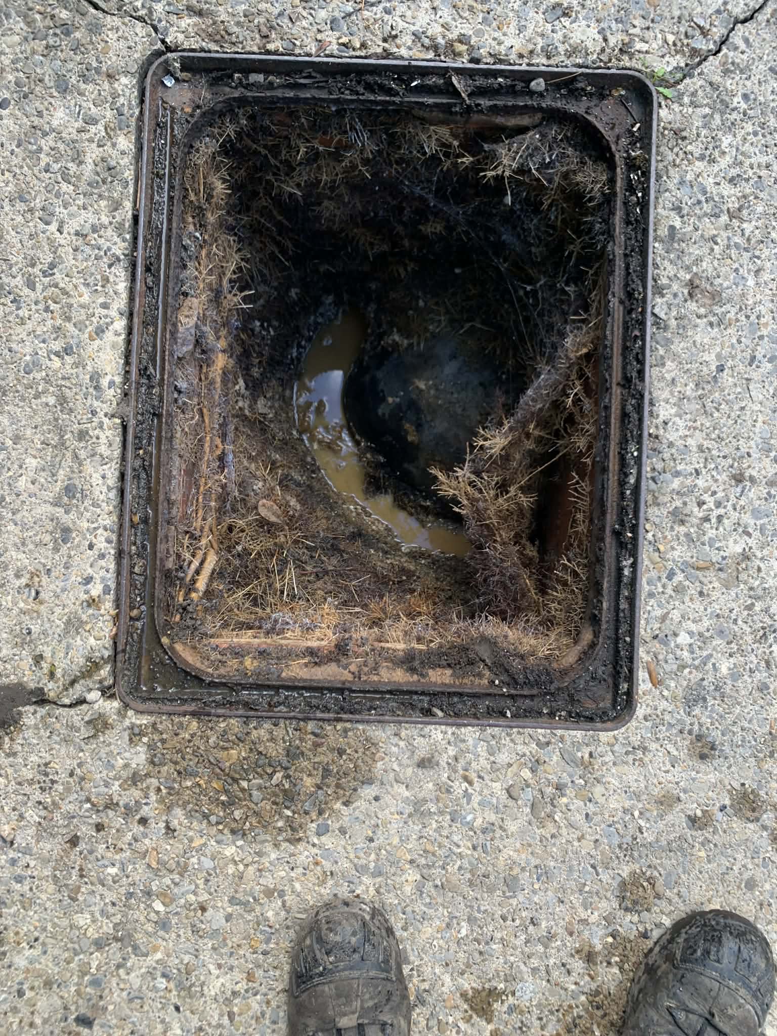 Drain Repairs